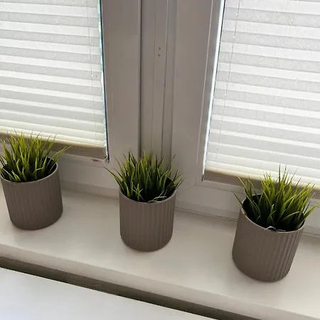 Rose 52 Travemuende * 뤼베크