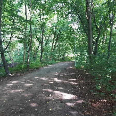 Rose 52 Travemuende 아파트 뤼베크