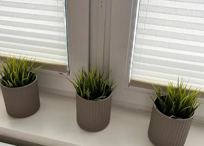 Rose 52 Travemuende * リューベック