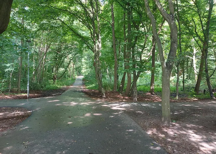 Rose 52 Travemuende アパート リューベック